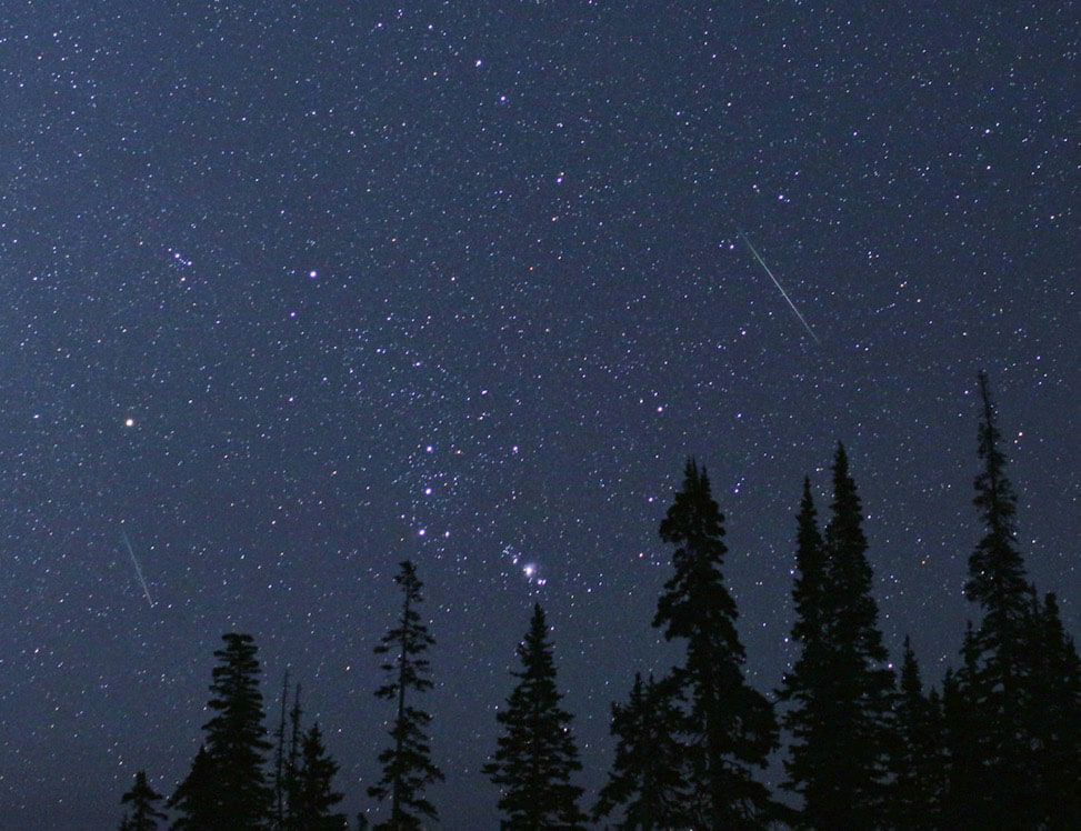 Photo of the constellation Orion framed by twin Perseid meteors.