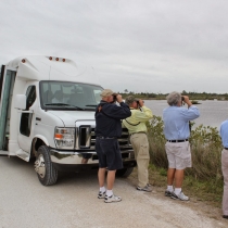 A bus with birders rental Black Points Wildlife Drive, Merritt Island National Animal Refuge