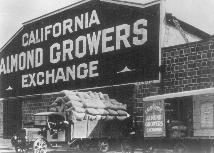 A gloomy press white photo of bagged almonds getting loaded into a truck