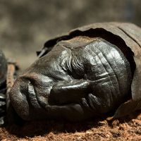 Swamp body. Head of Tollund Man. Died with about age 30-40, Dated to about 280 BCE early Iron Age. Found Bjaeldskovdal bog Denmark in 1950 near Elling Spouse. Most okay preserved bog body to date. Human remains mummed in natural peat bogs. mummy, embalm